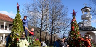 Накитена елката во дворот на манастирот Св. Илија над Струмица – поставени над 100 лампиони и украси ! (ФОТО)
