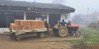 Тутунарите и понатаму не го даваат родот оти откупните цени се ниски, немаат намера тутунот да го предадат за џабе