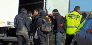 Приведен гевгеличанец – во возило фиат кое го управувал пронајдени осум мигранти од Сирија