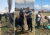 Во Општина Босилово засадени 1000 листопадни и зимзелени дрвца на повеќе локации (ФОТО)