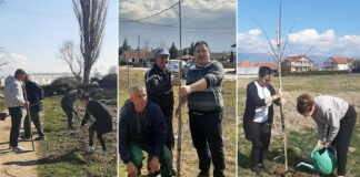 Во Општина Босилово засадени 1000 листопадни и зимзелени дрвца на повеќе локации (ФОТО)