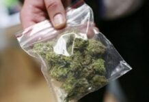 Три лица од Гевгелиско и Валандовско приведени – кај нив полицијата пронашла марихуана