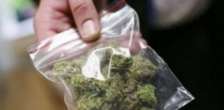 18 годишно момче од Струмица приведено – во неговиот дом пронајдена и одземена марихуана