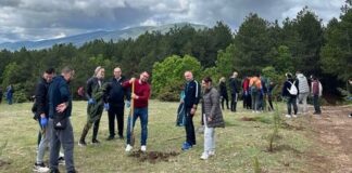 Џонсон Мети со еко акција во Кучково – засадени 2 000 дрвца за Денот на планетата земја