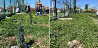 Децата на Брера Струмица се разочараа, дрвцата што ги засадија околу тренинг теренот- искорнати !