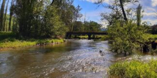 Овчар со овци од Габревци Општина Конче заглавил пет часа на мал остров на Црна Река по надојдена вода од брана Тиквеш !