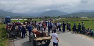 Земјоделци од Иловица и Штука го блокираа патот до нивните села – гневни се на ниските откупни цени на младиот компир ! (фото)