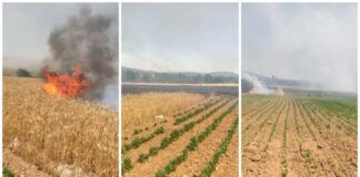 Во Конче во два одделни пожара изгореле пчелни семејства, лозје но и други насади (видео)