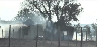 Во атарот на Злеово радовишко во пожар изгоре викендица, лозов насад, овоштарник, ниви …