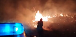 Лишено од слобода лице од радовишко за подметнување пожар покрај патот кон Калаузлија