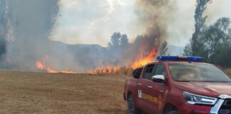 Приведено лице од струмичко, подметнал пожар на нива меѓу Дабиле и Петралинци – полицијата најави пријава