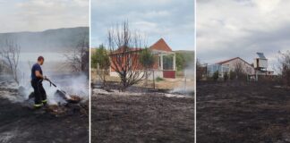 Спречено опожарување на викендиците кај брана Водоча откако гореше сува трева и нискостеблеста шума