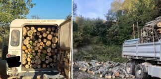 Приведени двајца радовишани – со возила полни крадени дрва, се дале во бегство место да застанат на полицијата на Плачковица