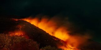 Пожарот на планината Беласица над селото Смоларе е локализиран и ставен под контрола, соопшти ТППЕ Струмица