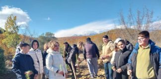 Засадени над 5000 дрвца чемпрес и багрем кај Топлик Гевгелија – вакви акции ќе има често, кажа Сарамандов