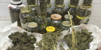 Претреси во дојранско, пронајдени околу два килограми марихуана и пушки, приведено едно лице