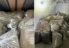 Запленети околу 4 тони марихуана во валандовското село Jосифово – пет лица заработија кривични