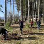 Спортисти и граѓански активисти покренаа и реализираа акција за пошумување на ,,Динќут“ кај Гевгелија (фото)