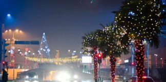 Струмица ќе блесне за празниците – ќе има 5 елки, над 500 светлосни елементи и повеќе од 500 метри светлосно небо за 137 илјади евра !