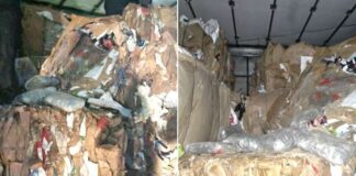 Голема количина дрога откриена во камион на ГП „Богородица“, пресечен канал за шверц од БЈБ и Царината