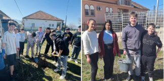 Ученици од Општина Босилово засадија 200 дрвца во школските дворови и го честитаа Денот на жената на своите мајки, баби, тетки