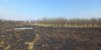 Откриени причините за големиот пожар меѓу Струмица и Баница – ќе се води како кривично дело за кое се лежи казна затвор !