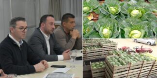 Откупувачите следните десет дена зелката ќе ја откупуваат по 40 денари, објави министерот Трипуновски по средбата со нив