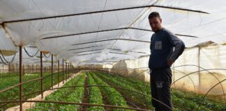 Поддршка до 10 илјади евра за млади земјоделци – објавен повикот од АФПЗРР