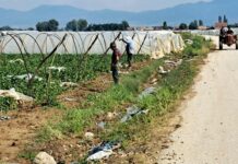 Милиеуконтакт ќе дава поддршка на земјоделци од седум општини од Југоистокот да се справат со климатските промени и одржливи практики