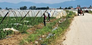 Милиеуконтакт ќе дава поддршка на земјоделци од седум општини од Југоистокот да се справат со климатските промени и одржливи практики