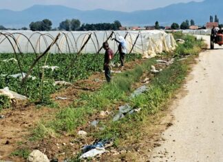 Милиеуконтакт ќе дава поддршка на земјоделци од седум општини од Југоистокот да се справат со климатските промени и одржливи практики