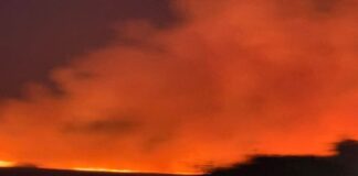 Во исто време синоќа кај Триводи, Градашорци и Куклиш избувнале пожари, струмичките пожарникари сметаат дека се дело на пиромани