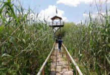 Моноспитовско блато мора да биде зашитено подрачје – ќе се прави проценка на еколошката вредност за да се носи закон ! (ФОТО)