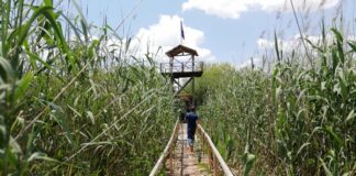 Моноспитовско блато мора да биде зашитено подрачје – ќе се прави проценка на еколошката вредност за да се носи закон ! (ФОТО)