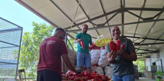 Пуштени субвенциите од 3 денари за предадени градинарски култури кај преработувачи – годинава тие ќе бидат 4 и 6 денари (ФОТО)