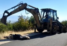 На патот кон Цареви кули над Струмица фрлена мртва и полураспадната крава – Комуналец ја отстрани и упати остра реакција