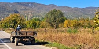 Иселувањето со бугарски пасоши и немањето млади земјоделци, ги запусти нивите во струмичко – цели области станаа угари !