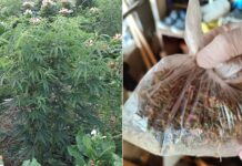 Претрес во валандовско Казандол – едно лице е приведено откако кај него е пронајдена дрога, оружје, муниција, соопшти МВР (фото)