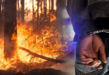 Полицијата приведе едно лице кое се сомничи дека подметнал пожар во атарот на Василево