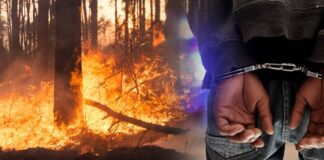 Полицијата приведе едно лице кое се сомничи дека подметнал пожар во атарот на Василево