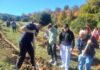 ФОТО: Засадени 1200 садници чемперс и црн бор на Чамчифлик над Струмица