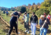 ФОТО: Засадени 1200 садници чемперс и црн бор на Чамчифлик над Струмица