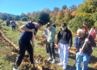 ФОТО: Засадени 1200 садници чемперс и црн бор на Чамчифлик над Струмица