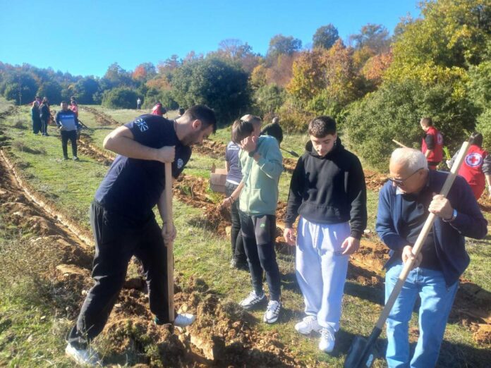 581679798_1269848068499861_2163787658769891607_n