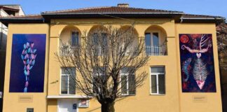 Со решение на градоначалникот Јанков – Васка Кирова поставена за прв човек на струмичката библиотека „Благој Јанков Мучето“