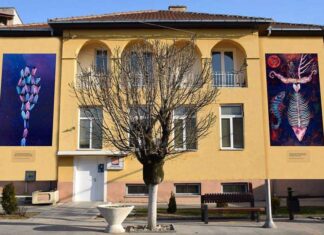 Со решение на градоначалникот Јанков- Васка Кирова поставена за прв човек во струмичката библиотека „Благој Јанков Мучето“