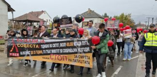 Ученици од Босилово маршираа и порачаа „Разбуди ја совеста – кажи СТОП за смртта на патиштата“ (ФОТО)