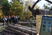 Во Гевгелија промовирана електронската испратница со која започнува дигитализацијата на македонскиот шумарски сектор