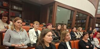Локалните проблеми бараат и национални решенија – жени активистки бараат измени на Законот за локална самоправа