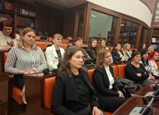 Локалните проблеми бараат и национални решенија – жени активистки бараат измени на Законот за локална самоправа